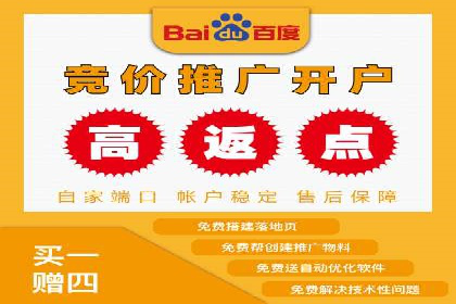谷歌SEM案例研究：数据分析与效果评估